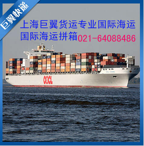 上海巨翼国际海运专线更好更快更省更安全